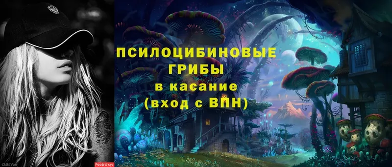 Псилоцибиновые грибы Magic Shrooms  Александров 